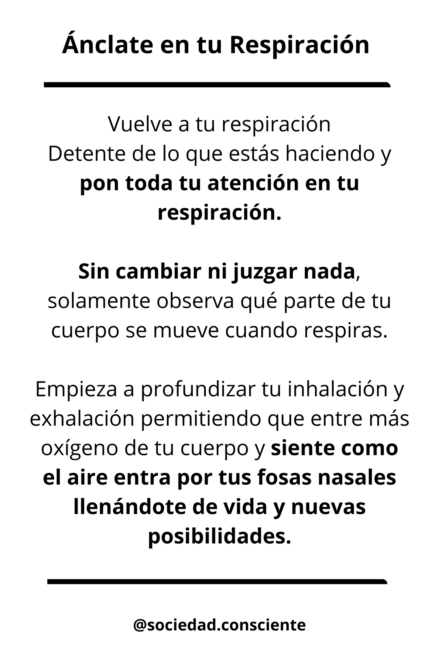 Polera clásica hombre