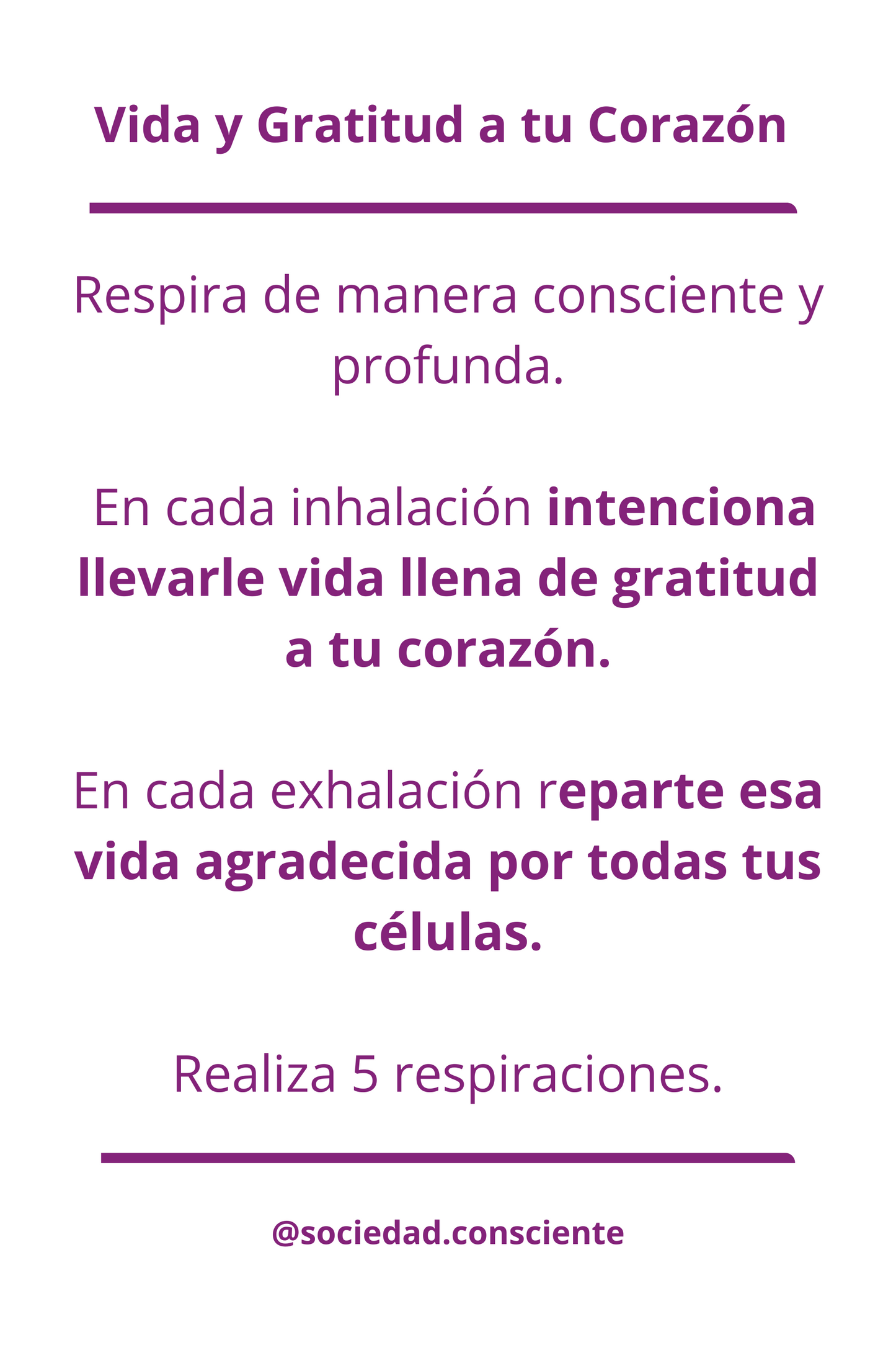 Polera de manga larga y cuello redondo hombre