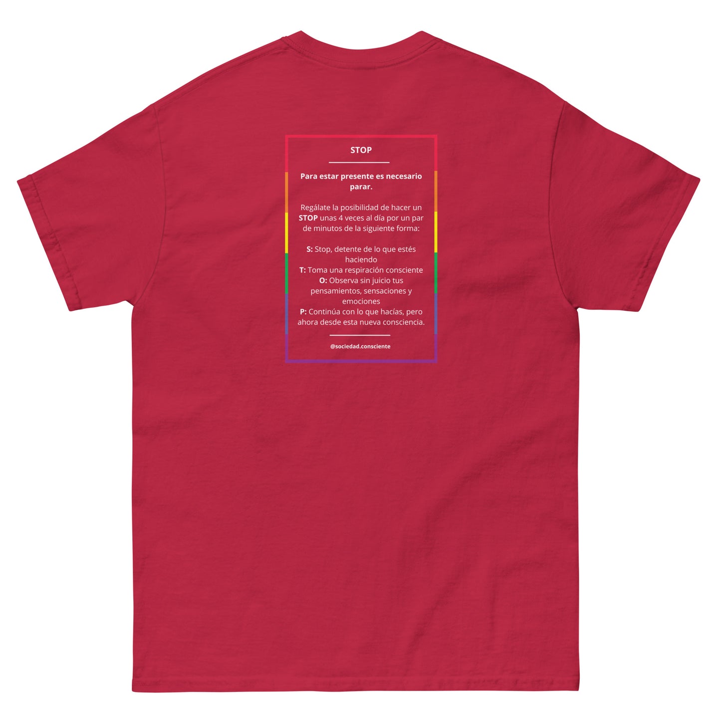 Polera clásica hombre