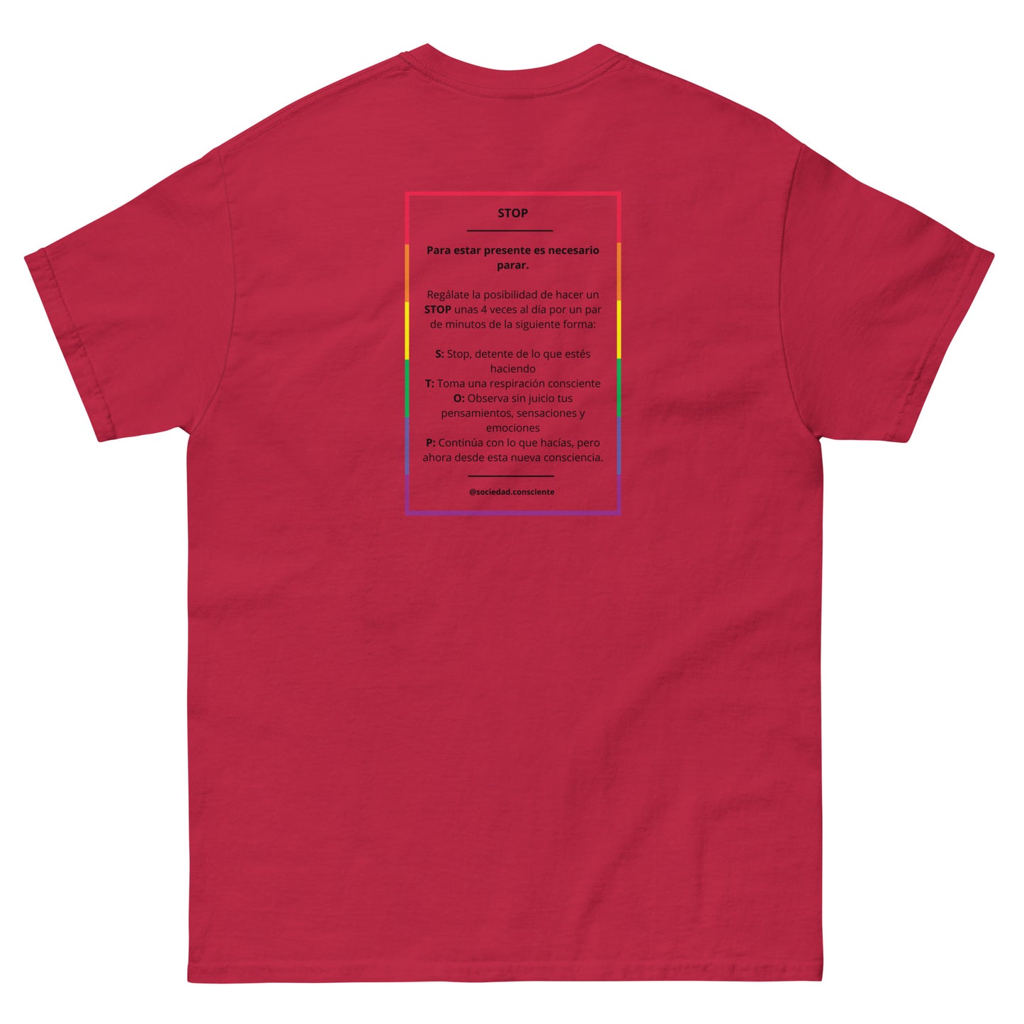Polera clásica hombre