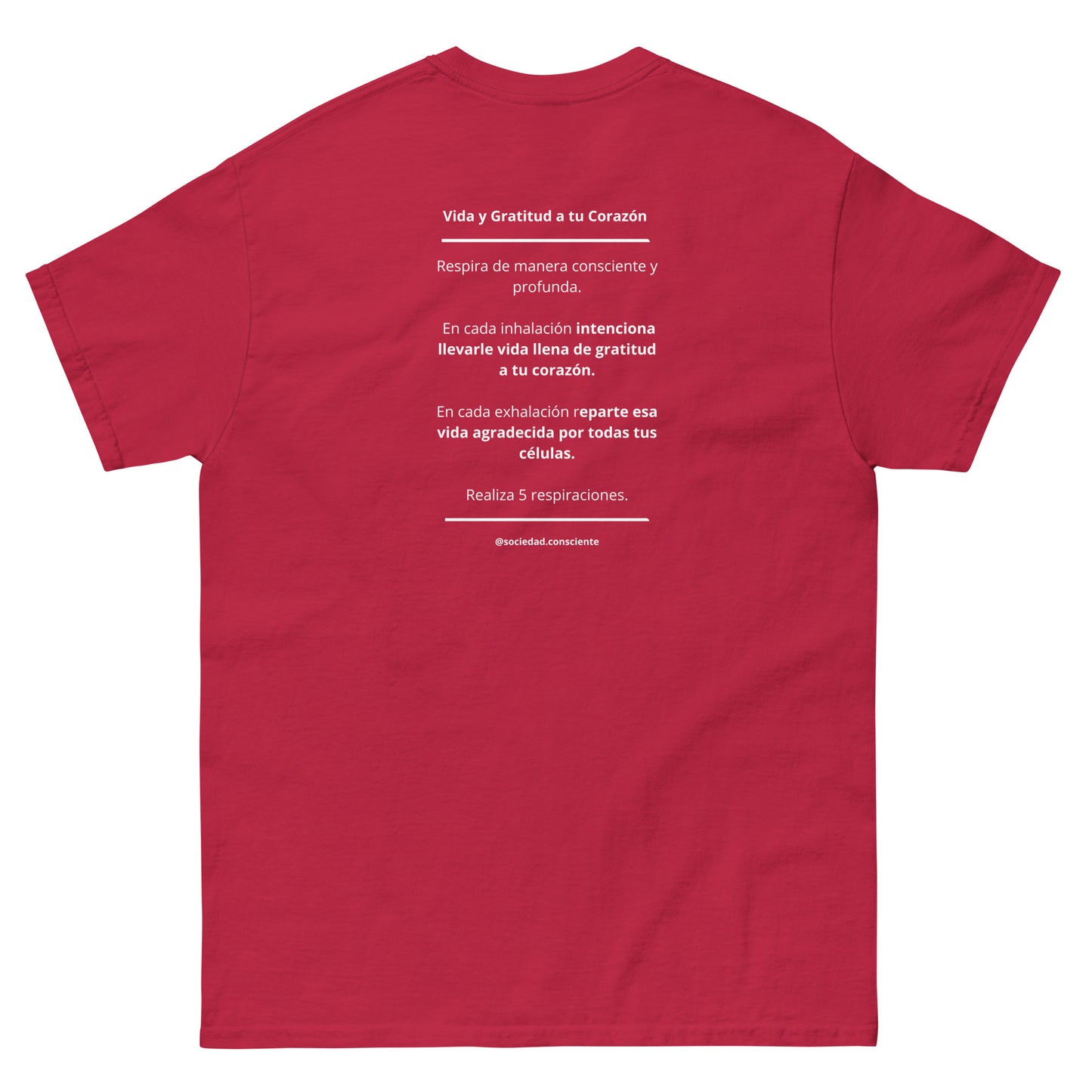 Polera clásica hombre