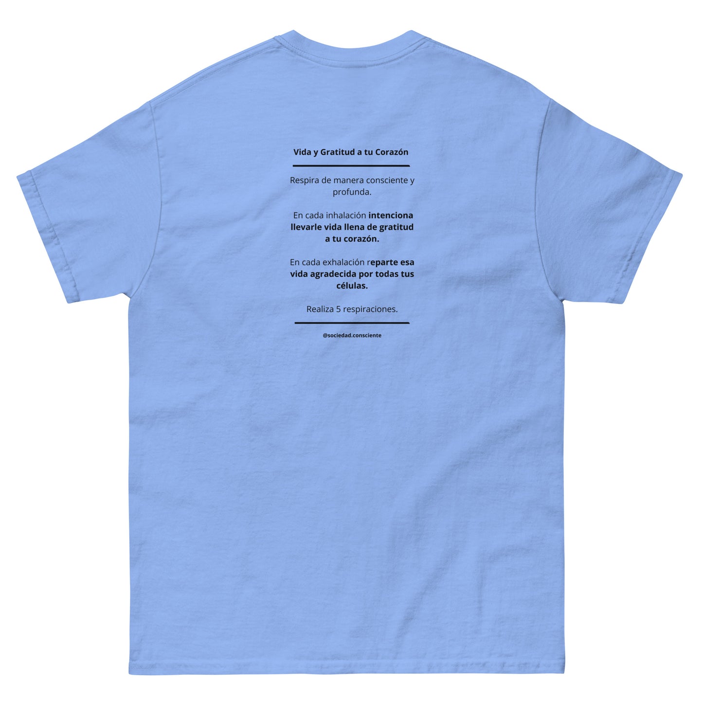 Polera clásica hombre