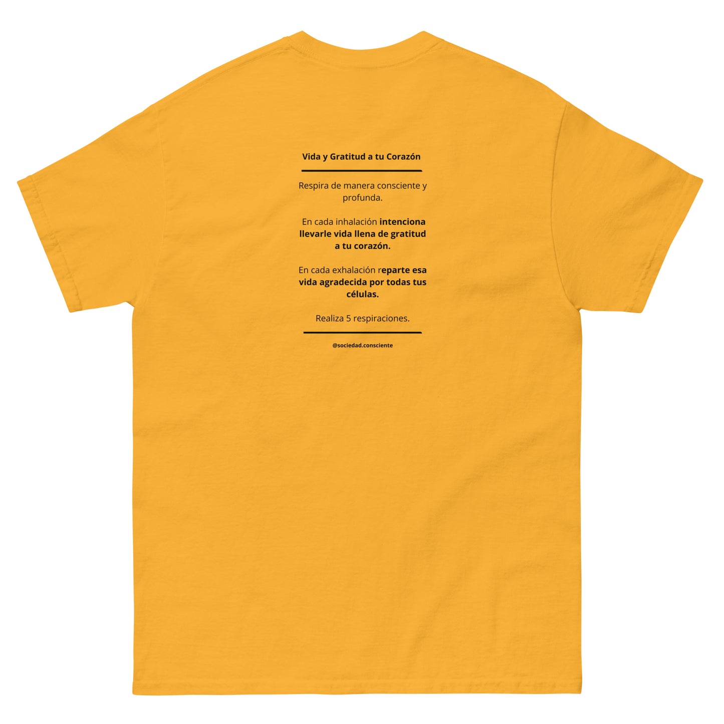 Polera clásica hombre