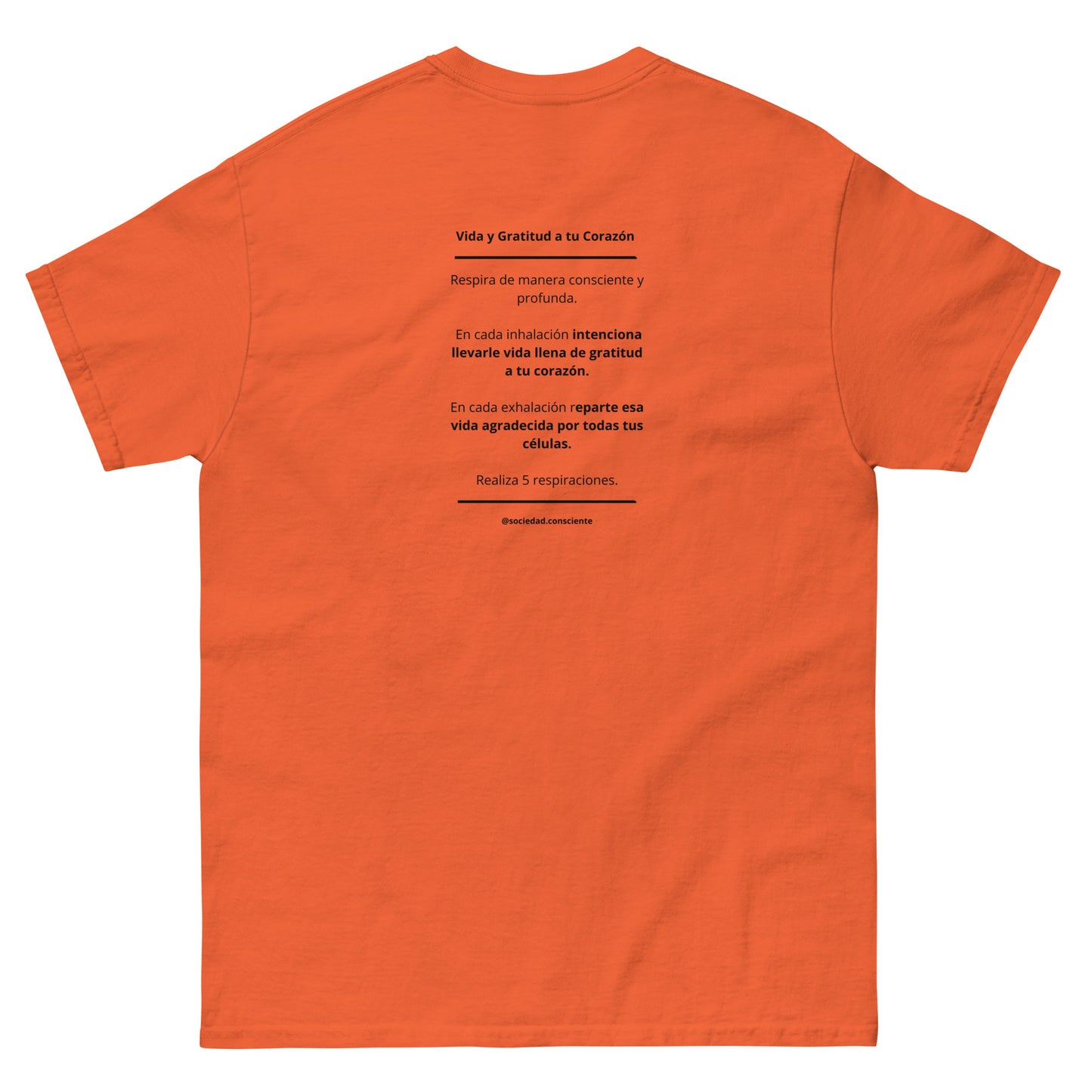 Polera clásica hombre