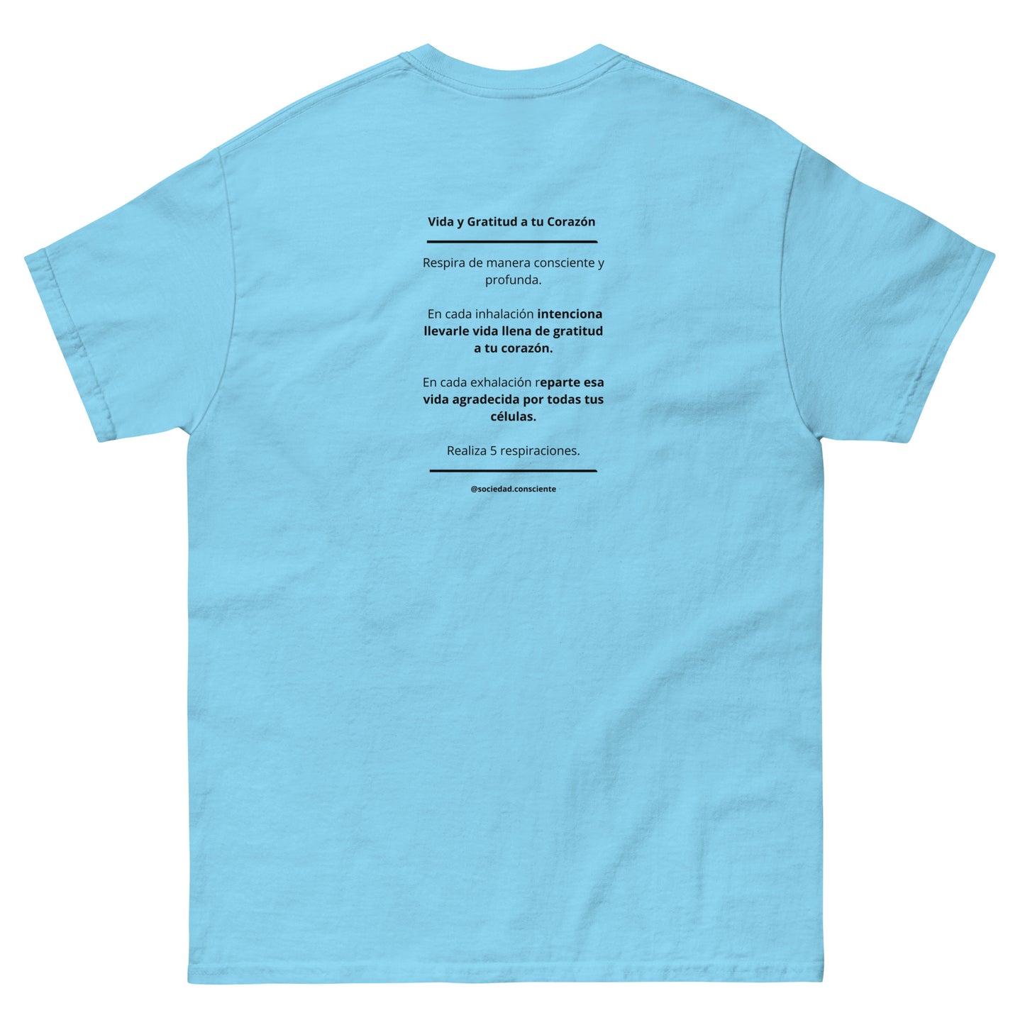 Polera clásica hombre