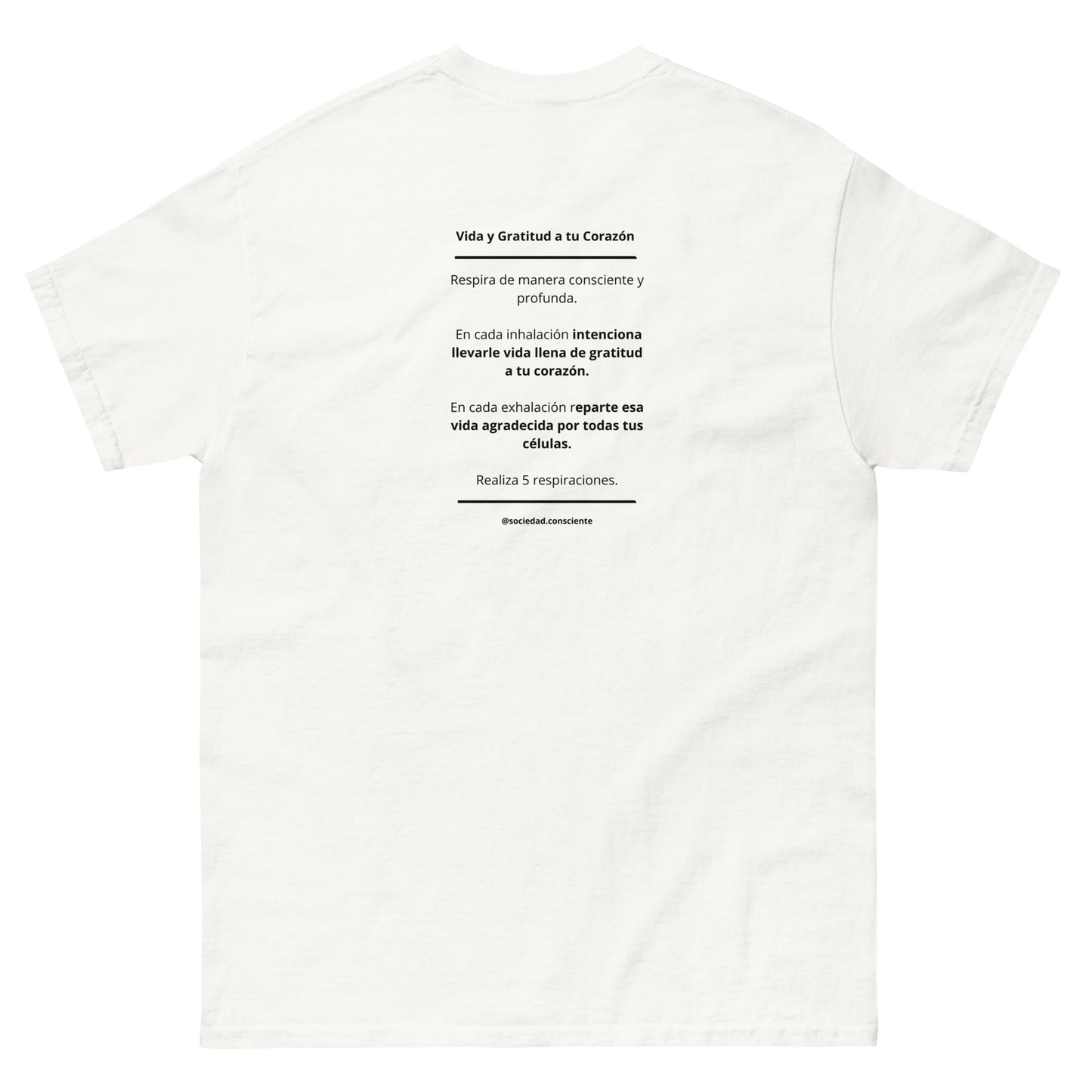 Polera clásica hombre