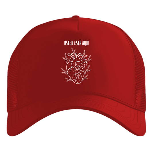 Jockey Usted está Aquí